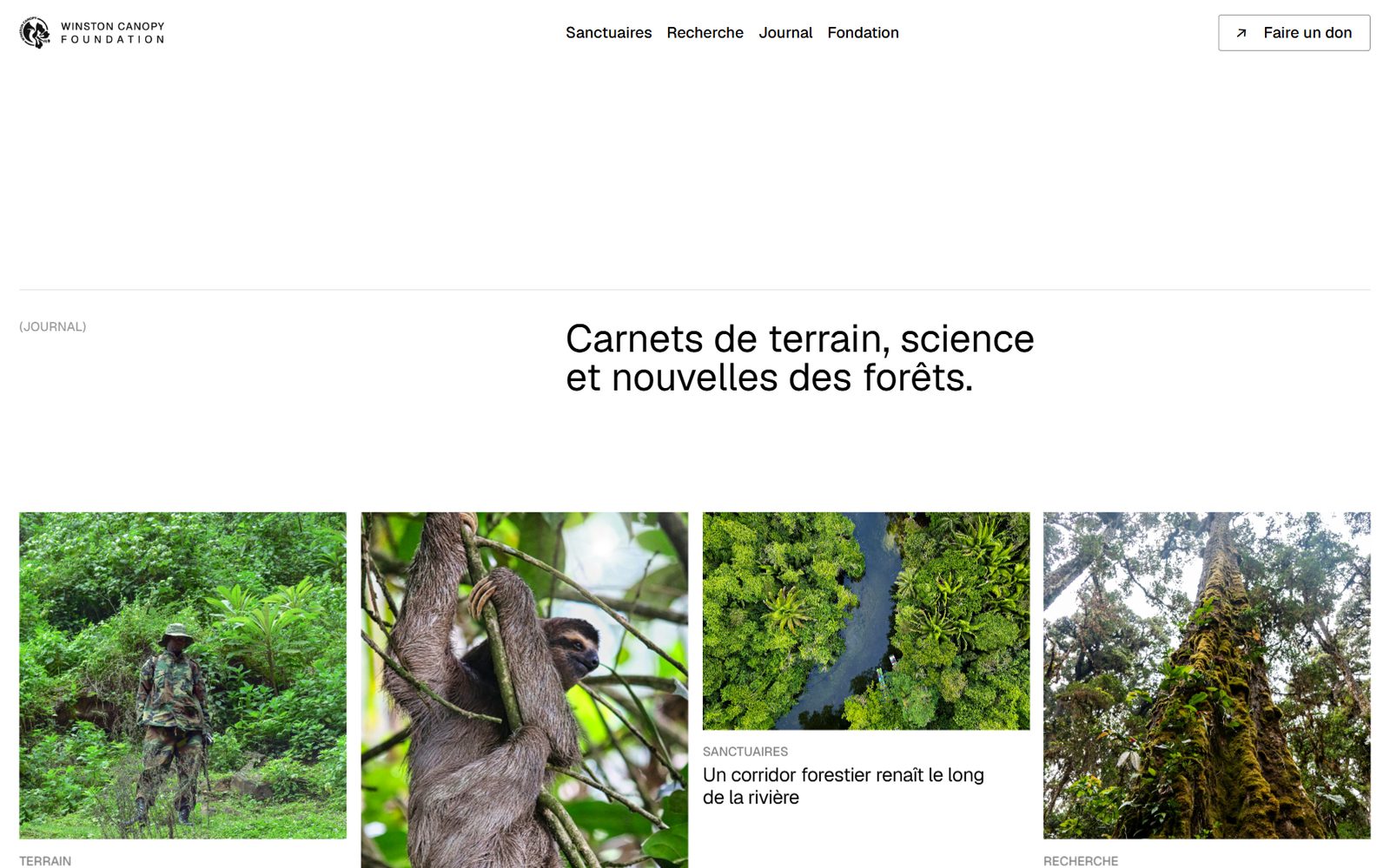 Page Journal du site de la Winston Canopy Foundation : chroniques des sanctuaires, missions en canopée et notes de recherche