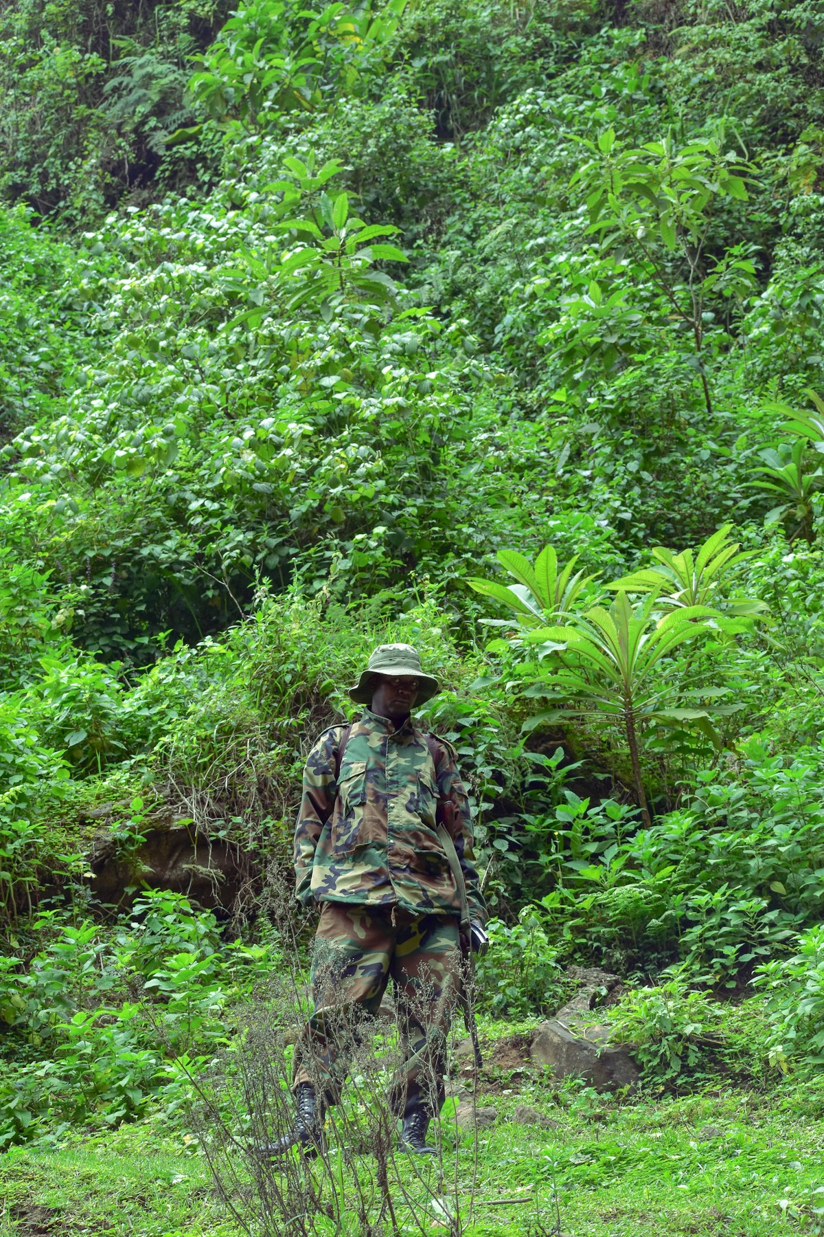 Garde forestier en tenue de camouflage dans une végétation tropicale dense, journal de la Winston Canopy Foundation