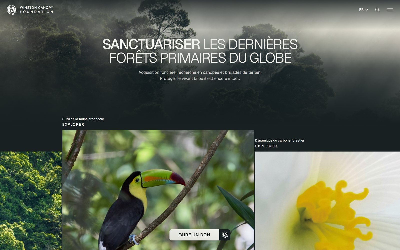 Page d'accueil du site de la Winston Canopy Foundation : sanctuariser les dernières forêts primaires du globe, page entière