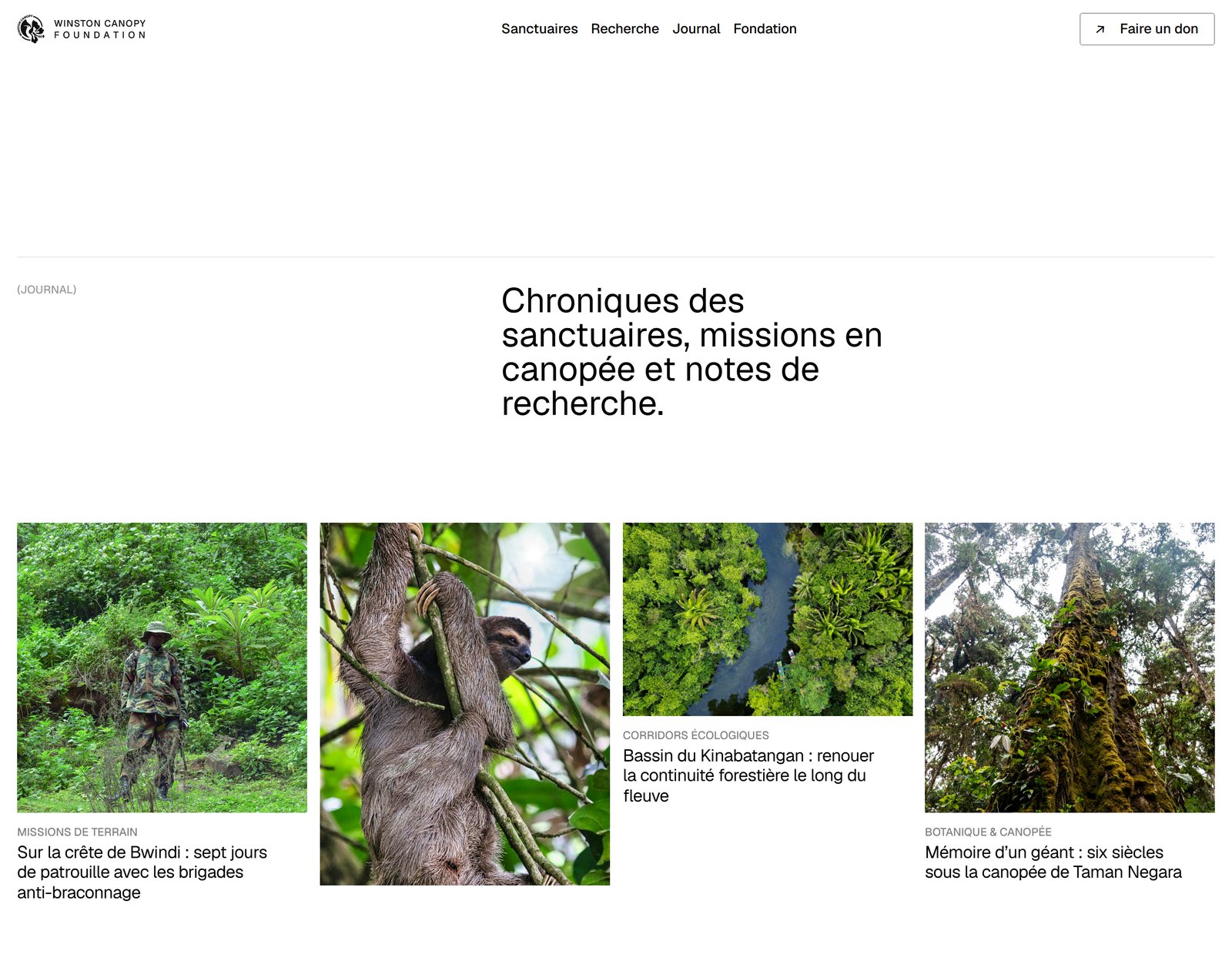Page Journal du site de la Winston Canopy Foundation : chroniques des sanctuaires, missions en canopée et notes de recherche, page entière