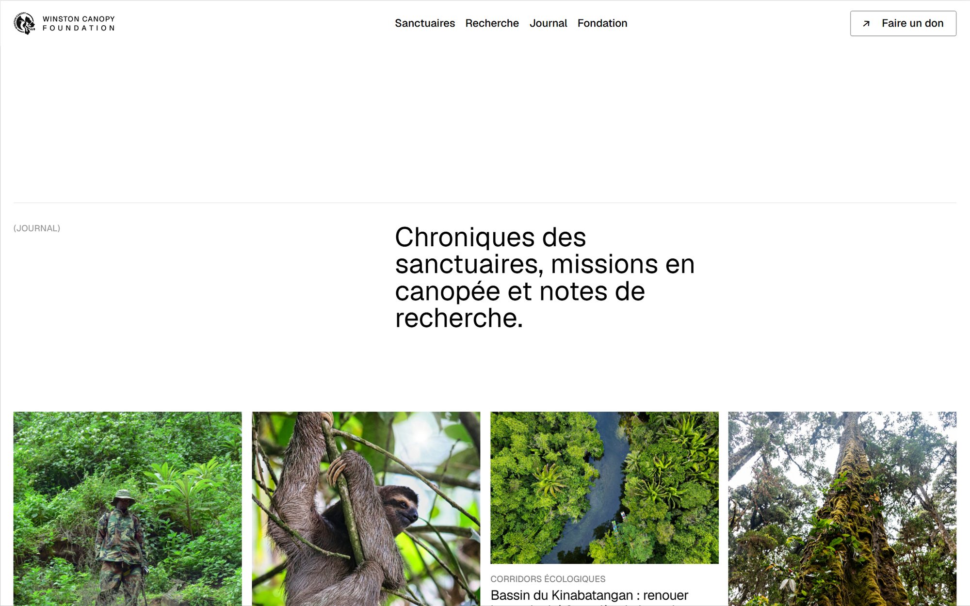 Maquette de webdesign (Winston Canopy Foundation) : Page Journal du site de la Winston Canopy Foundation : chroniques des sanctuaires, missions en canopée et notes de recherche